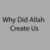 Why Did Allah Create Us
