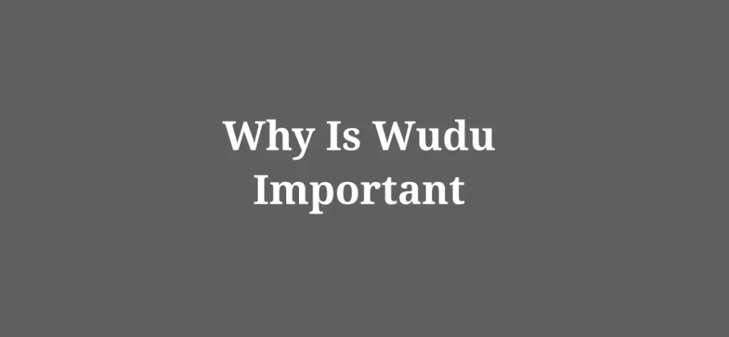 Why Is Wudu Important
