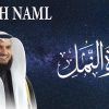 surah-Naml featured image